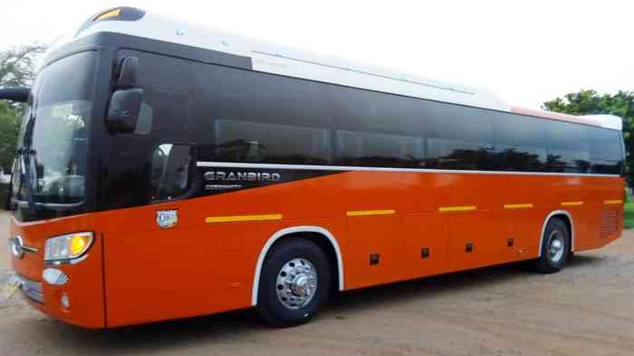 Coach & Buses