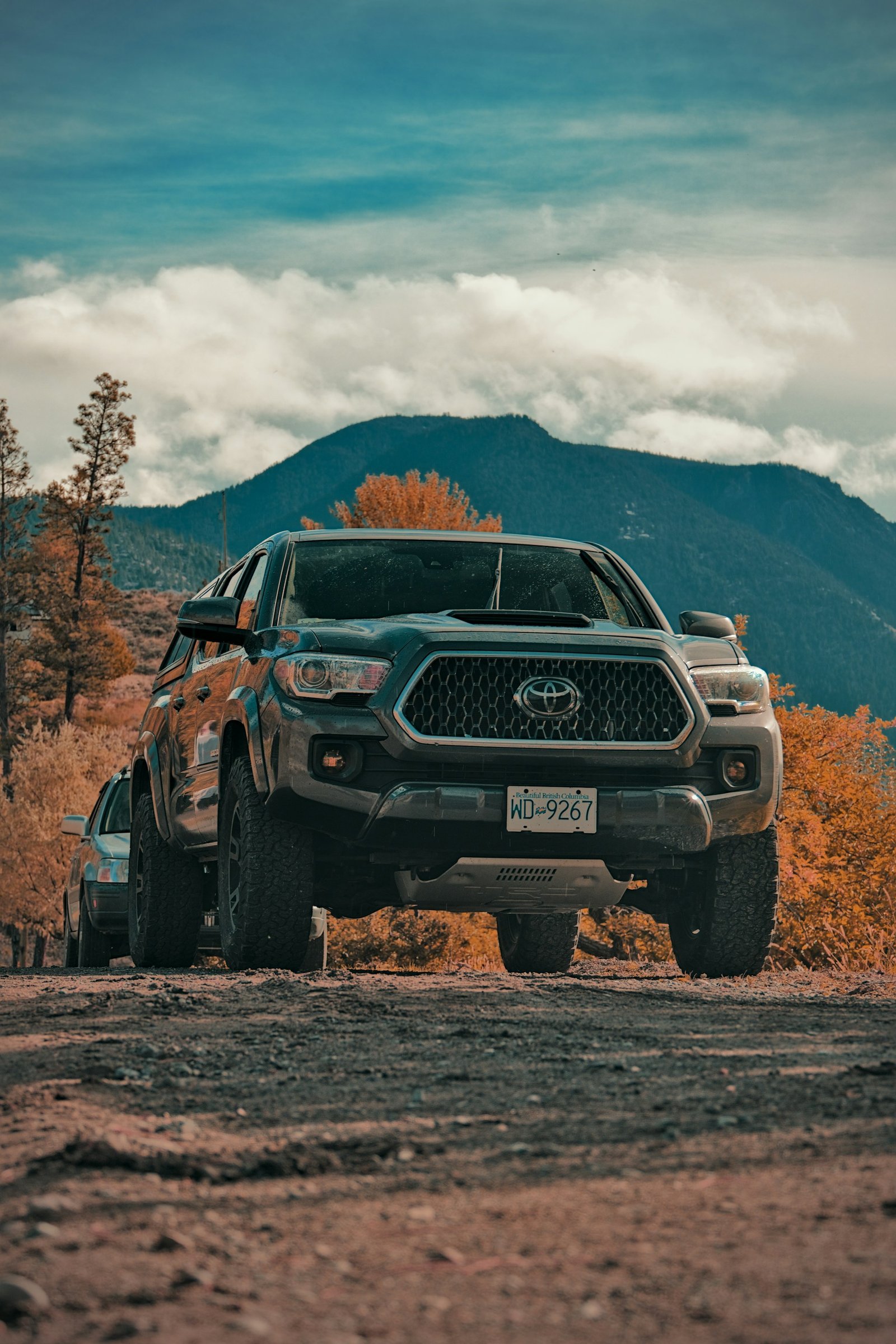SUV & 4X4