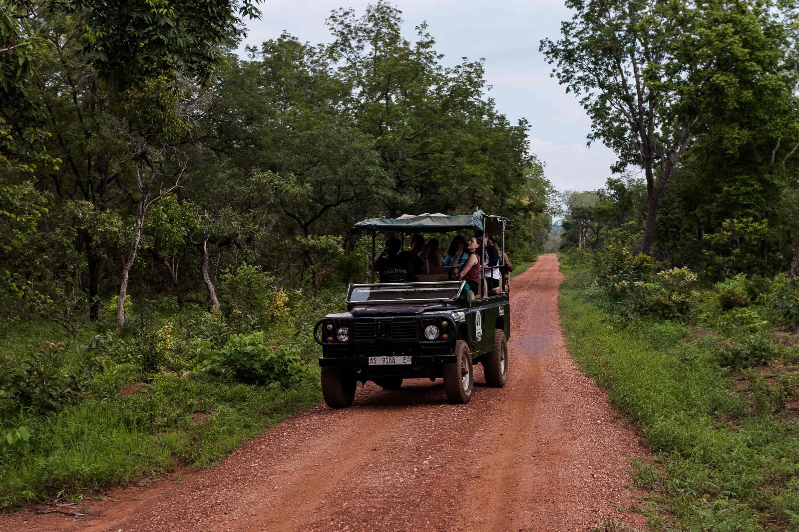 Safari Drives
