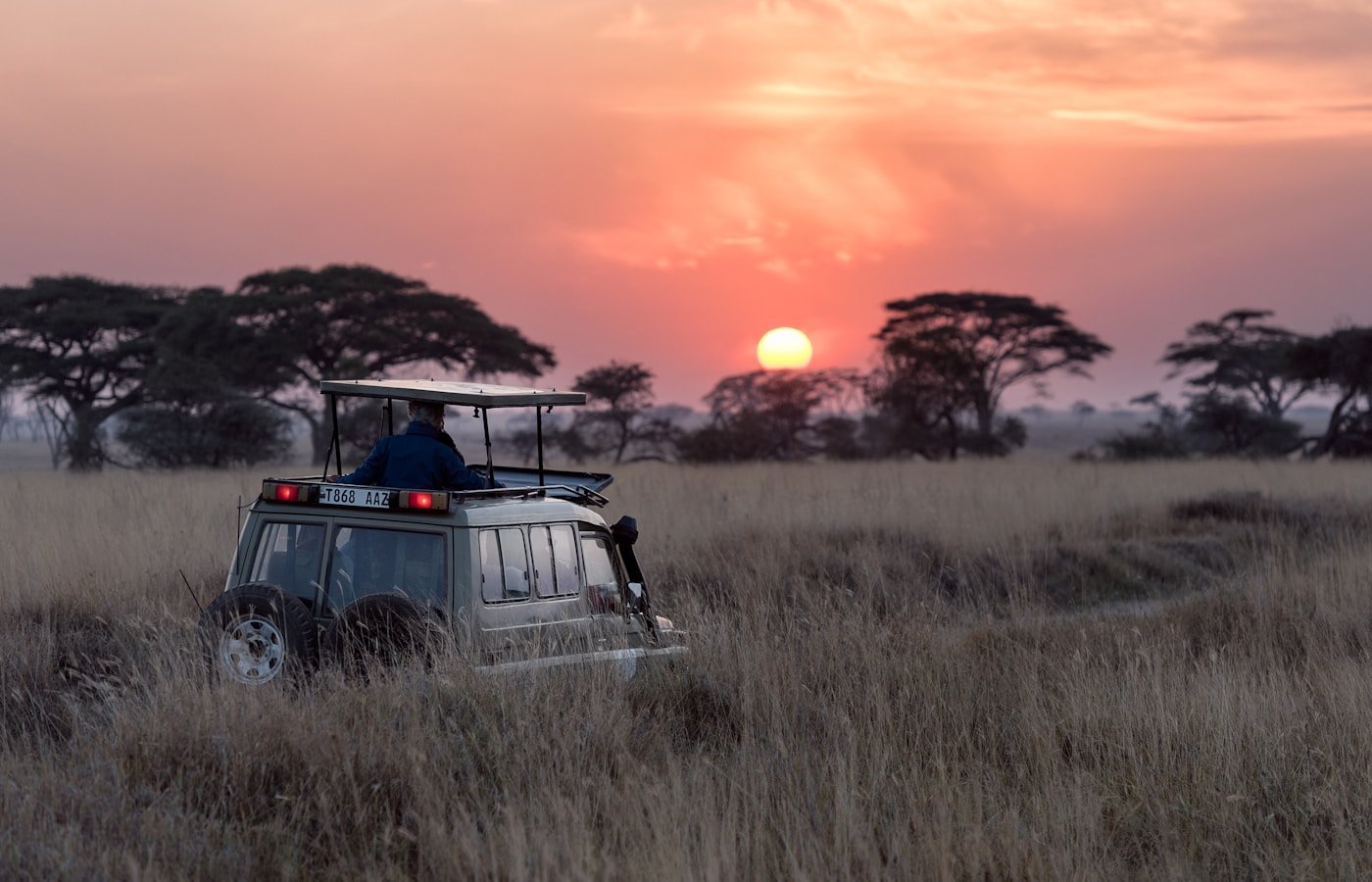 Mole National Park Car Rentals