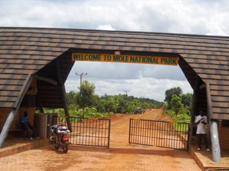 How to Get from Accra to Mole National Park