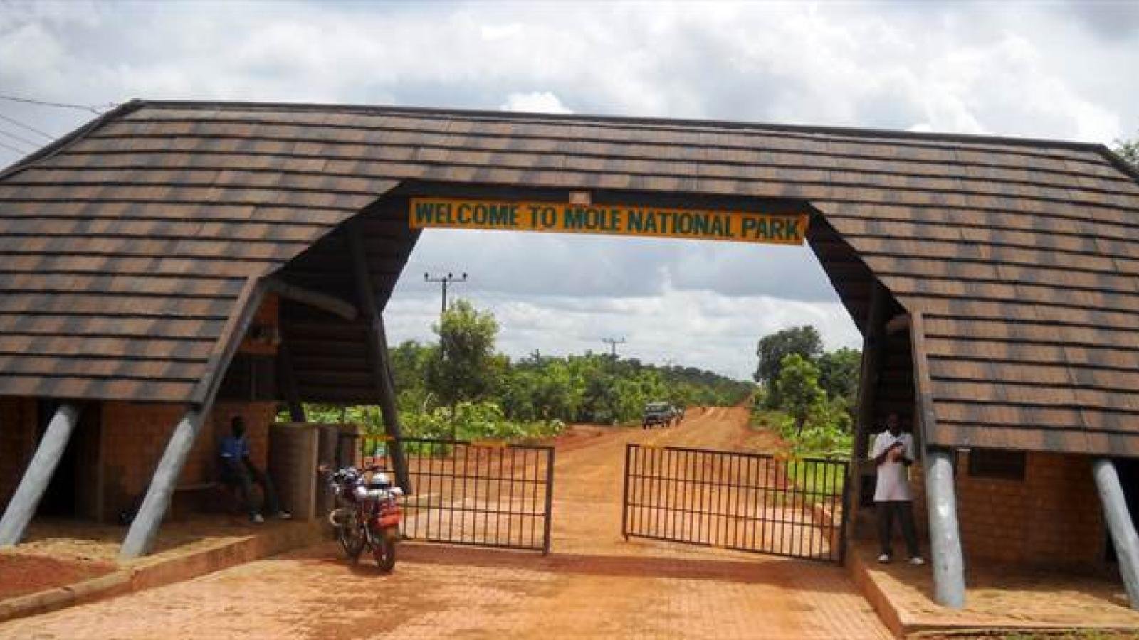 How to Get from Accra to Mole National Park